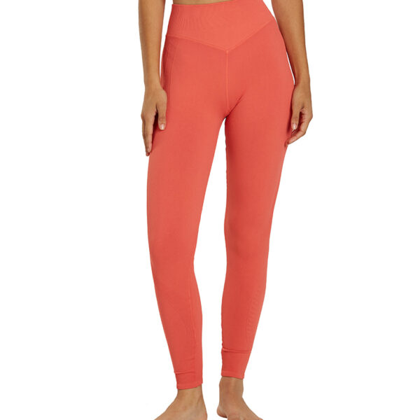 Wren Legging